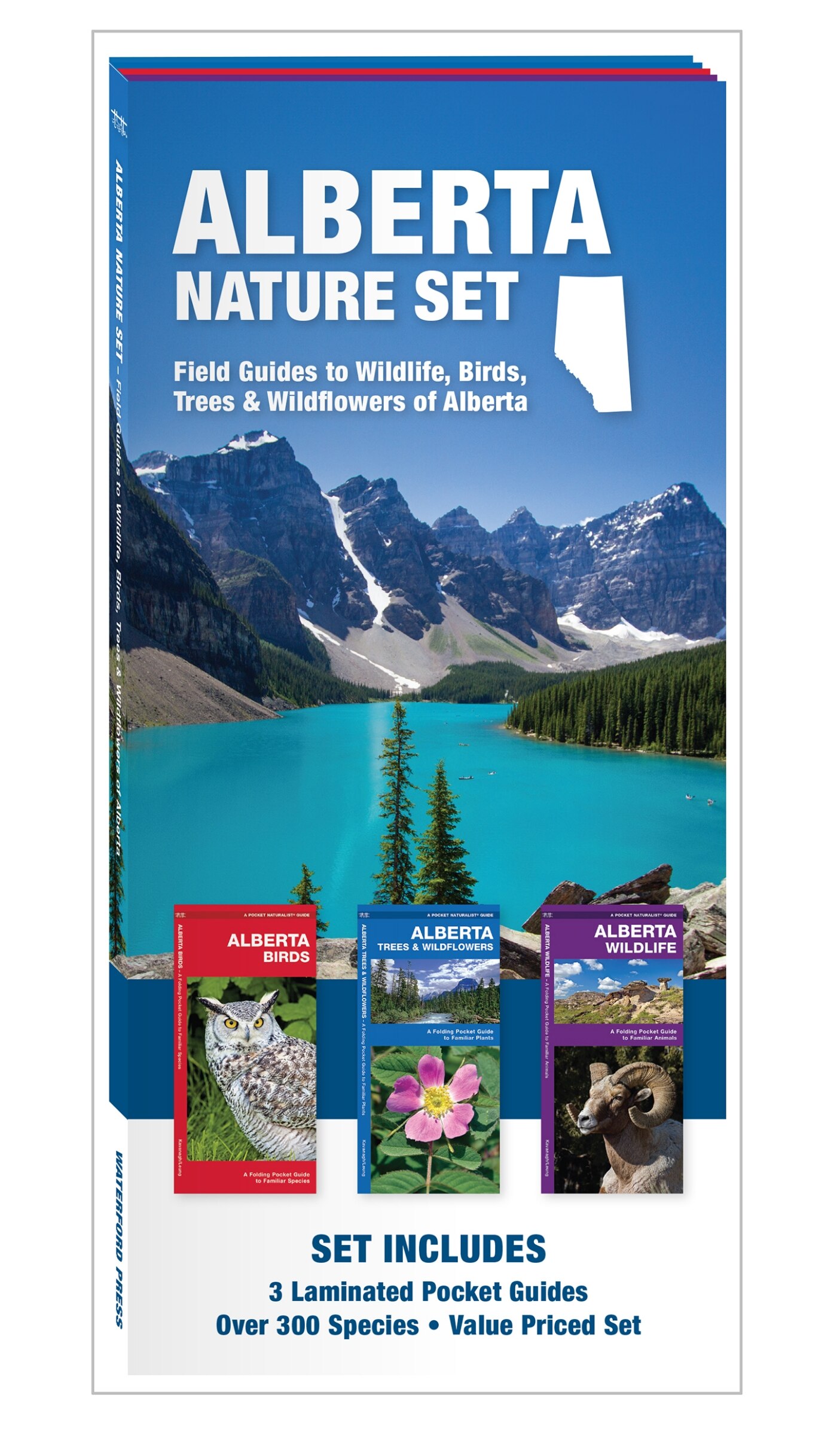 自然保護（全４巻） Conservation (4-Volume Set) Materials For Conservation: Organic Consolidants, Adhesives