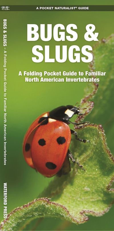 Bugs & Slugs: A Folding Pocket Guide to Familiar North American Invertebrates