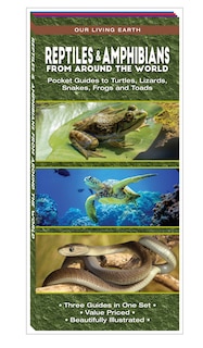 Couverture_Reptiles & Amphibians From Around The World