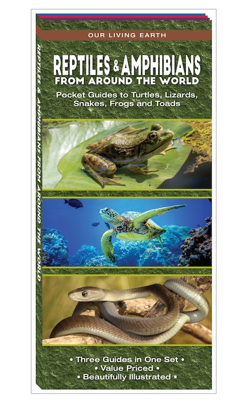 Couverture_Reptiles & Amphibians From Around The World