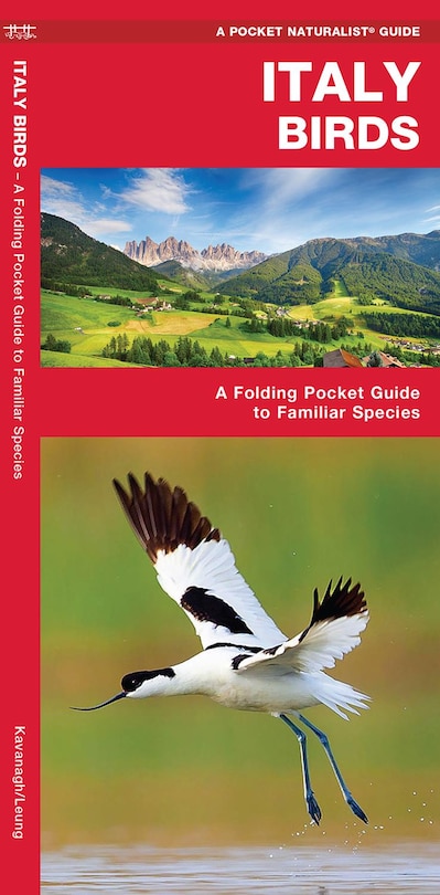 Front cover_Italy Birds