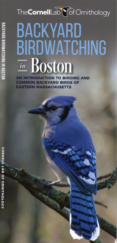 Front cover_Backyard Birdwatching in Boston