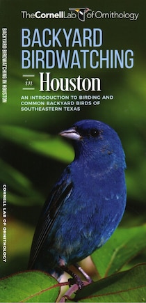 Backyard Birdwatching In Houston: An Introduction To Birding And Common Backyard Birds Of Southeastern Texas