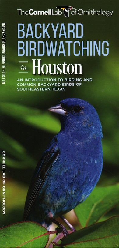 Front cover_Backyard Birdwatching In Houston