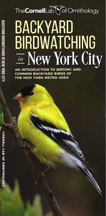 Backyard Birdwatching In New York City: An Introduction To Birding And Common Backyard Birds Of The New York Metro Area