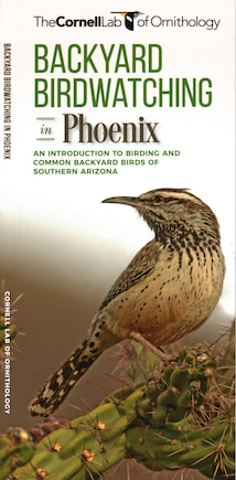 Backyard Birdwatching In Phoenix: An Introduction To Birding And Common Backyard Birds Of Southern Arizona