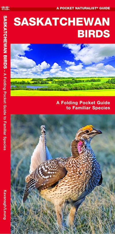 Saskatchewan Birds: A Folding Pocket Guide To Familiar Species