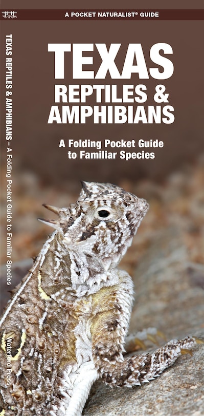 Couverture_Texas Reptiles & Amphibians