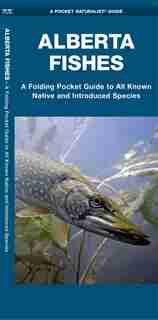 Alberta Fishes: A Folding Pocket Guide To All Known Native And Introduced Species by Matthew Morris