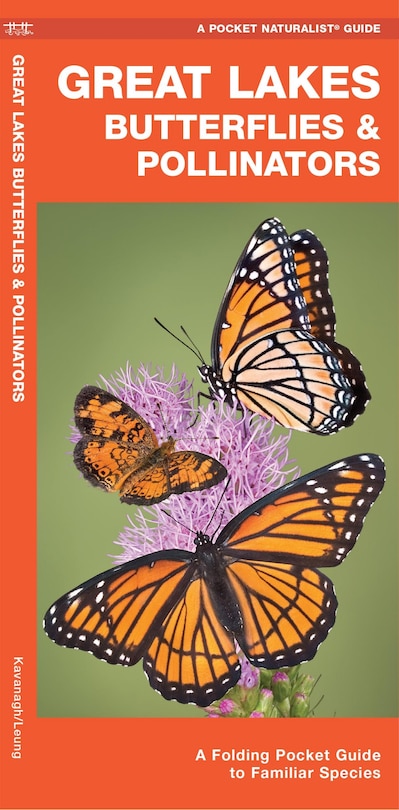 Couverture_Great Lakes Butterflies & Pollinators