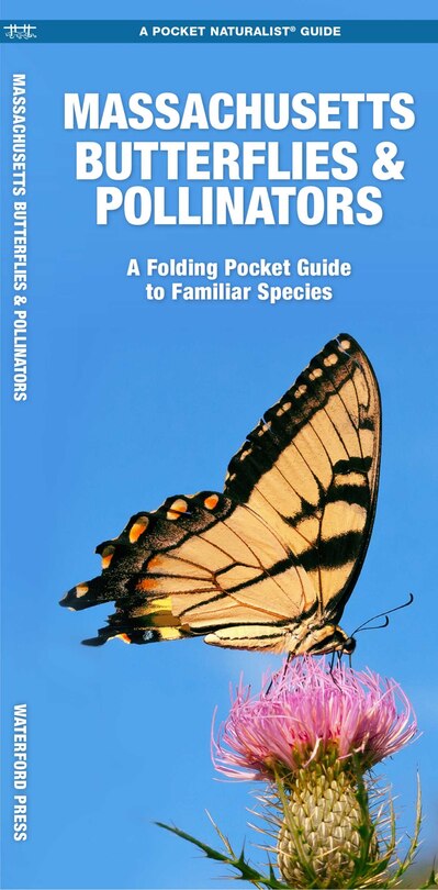 Couverture_Massachusetts Butterflies & Pollinators