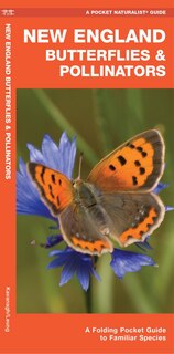 Front cover_New England Butterflies & Pollinators