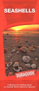 Front cover_Seashells