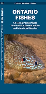 Couverture_Ontario Fishes