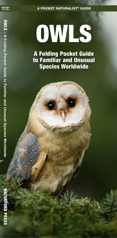 Front cover_Owls