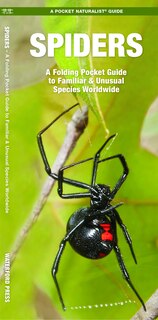 Front cover_Spiders