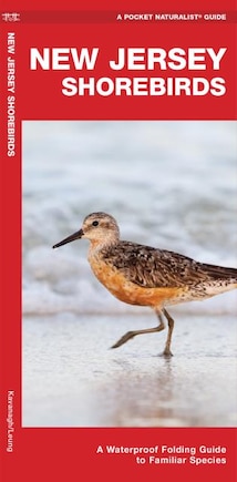 New Jersey Shorebirds: A Waterproof Folding Guide To Familiar Species