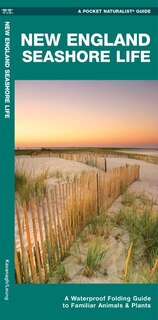 Front cover_New England Seashore Life