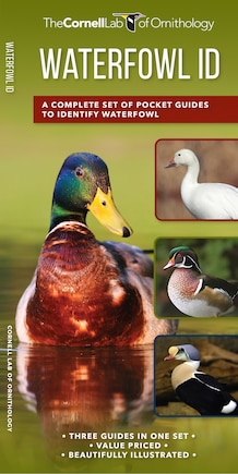 Waterfowl ID Set: A Complete Supplement to Indentify Waterfowl Based on Where's the white?