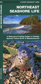 Front cover_Northeast Seashore Life