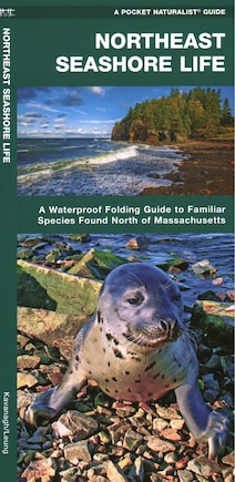 Northeast Seashore Life: A Waterproof Folding Guide to Familiar Species Found North of Massachusetts