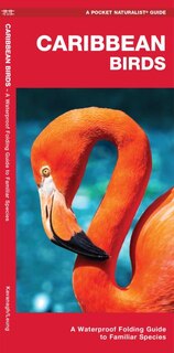 Front cover_Caribbean Birds/Aves Caribenas