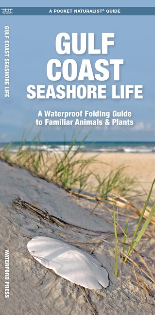 Front cover_Gulf Coast Seashore Life