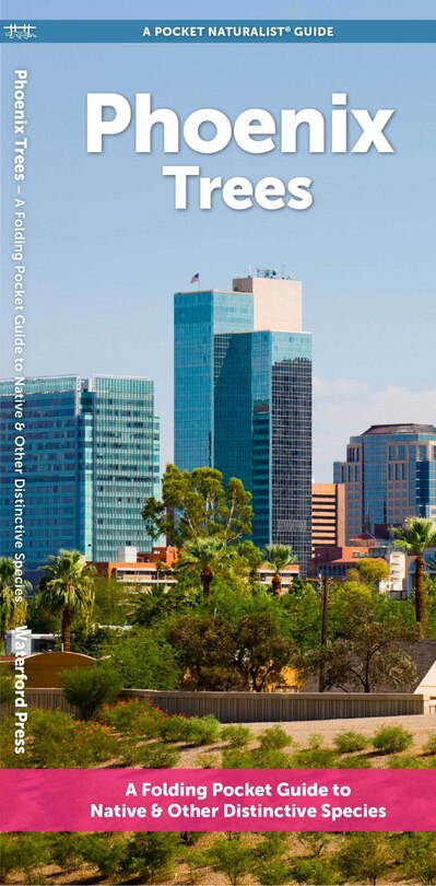 Couverture_Phoenix Trees