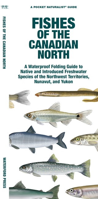 Front cover_Fishes of the Canadian North