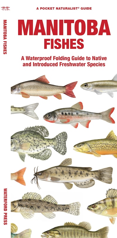 Couverture_Manitoba Fishes