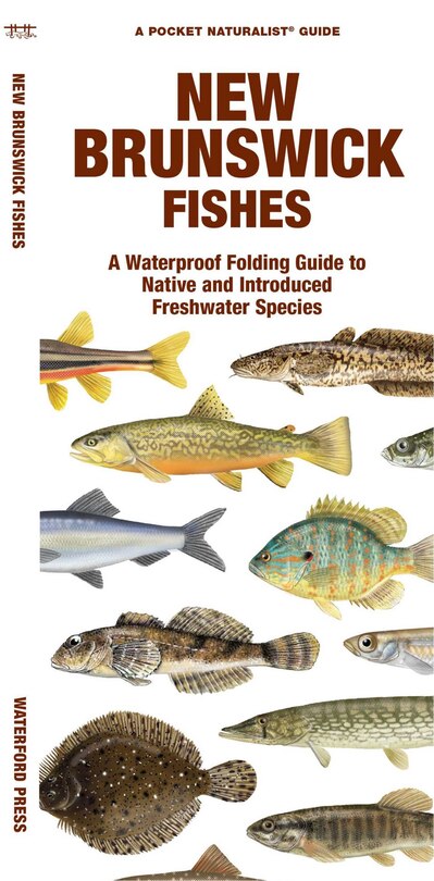 Front cover_New Brunswick Fishes