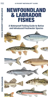 Front cover_Newfoundland & Labrador Fishes