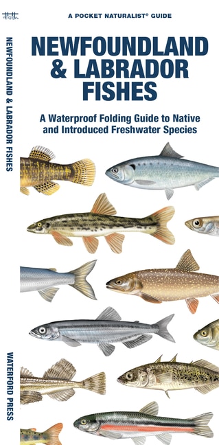 Front cover_Newfoundland & Labrador Fishes