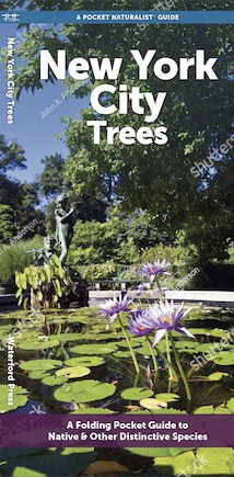 New York City Trees: A Folding Pocket Guide to Familiar Trees