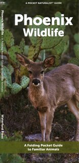 Couverture_Phoenix Wildlife