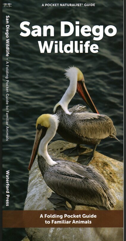 Front cover_San Diego Wildlife