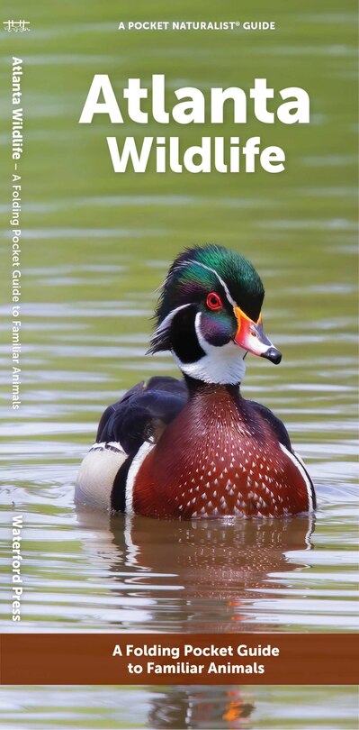 Front cover_Atlanta Wildlife