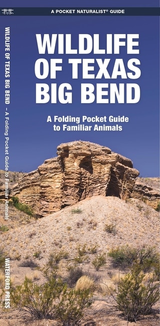 Couverture_Wildlife of Texas Big Bend