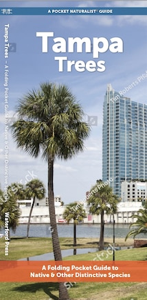 Tampa Trees: A Folding Pocket Guide to Familiar Trees