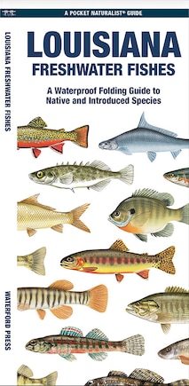 Louisiana Freshwater Fishes: A Waterproof Folding Guide to Native and Introduced Species