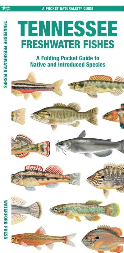 Tennessee Freshwater Fishes: A Waterproof Folding Guide to Native and Introduced Species