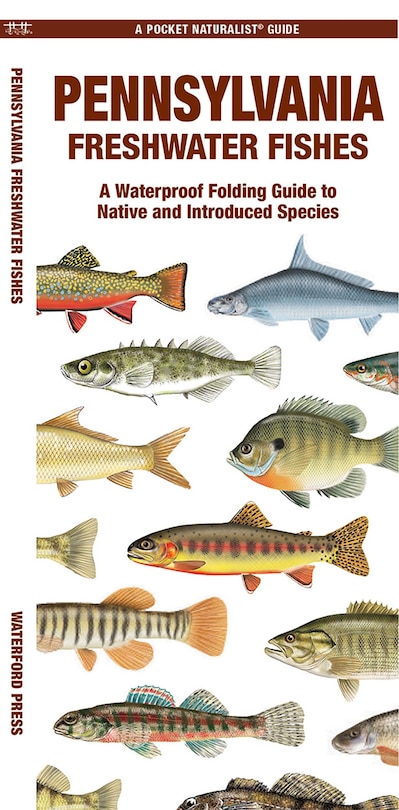 Front cover_Pennsylvania Freshwater Fishes
