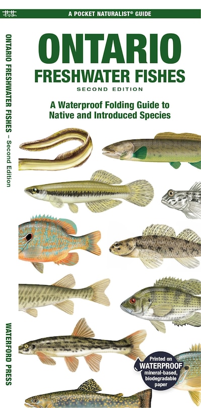 Front cover_Ontario Freshwater Fishes