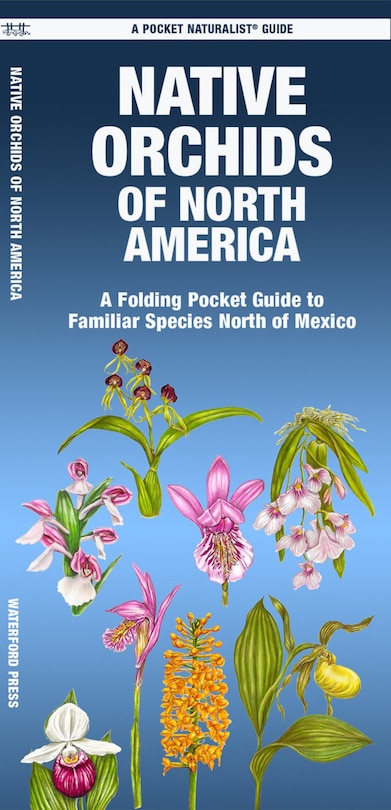 Front cover_Native Orchids of North America