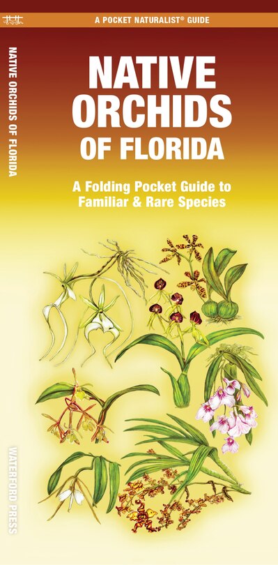 Couverture_Native Orchids of Florida
