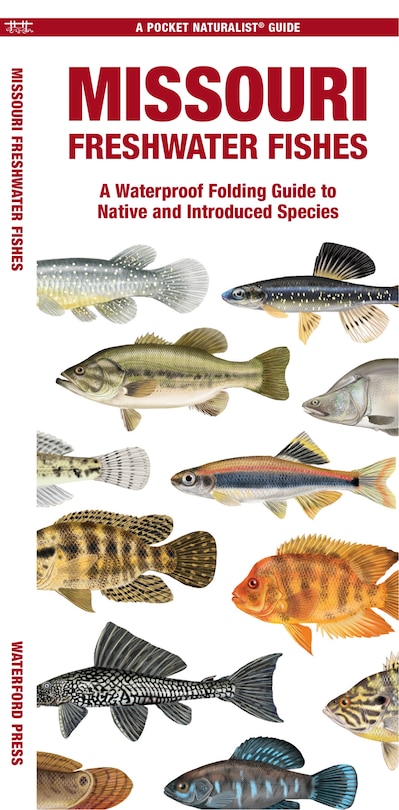 Front cover_Missouri Freshwater Fishes