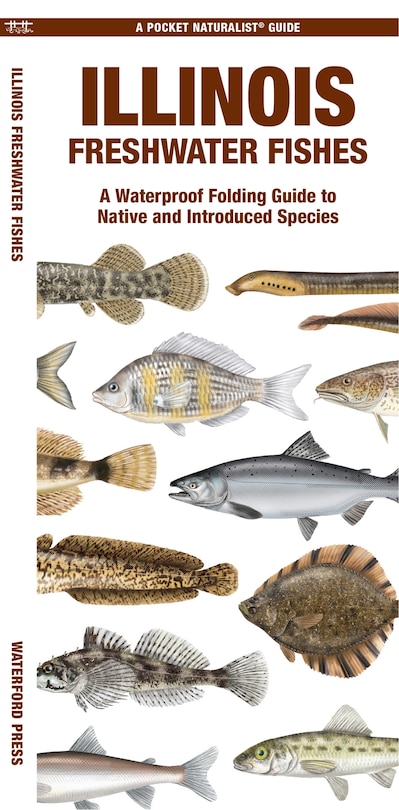 Couverture_Illinois Freshwater Fishes