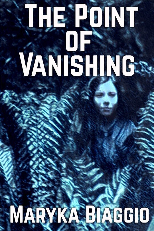 Front cover_The Point of Vanishing
