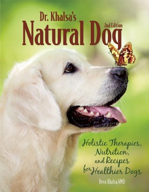 Holistic nutrition for dogs new arrivals