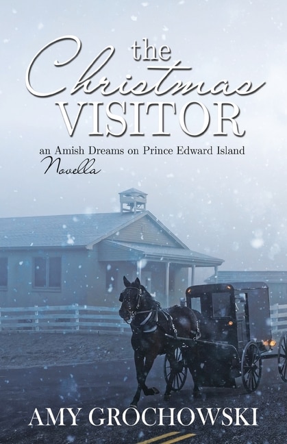 Front cover_The Christmas Visitor